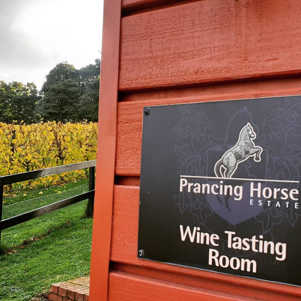 Tasting-Room